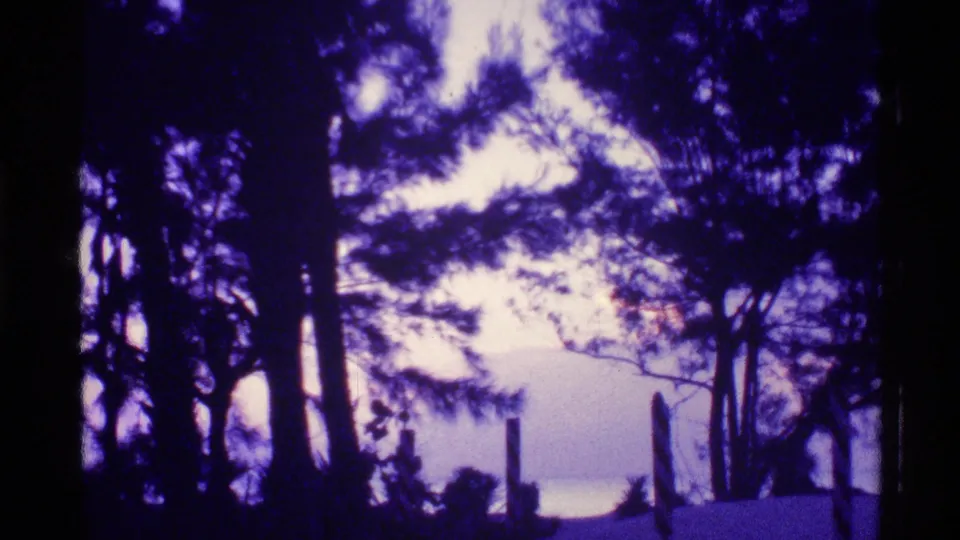 1973 Florida home-movie frame with dark trees, low shoreline forms, and a glowing purple sky.