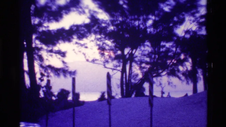 1973 Florida 8mm frame showing trees and posts near a sandy coastal foreground at sunset.