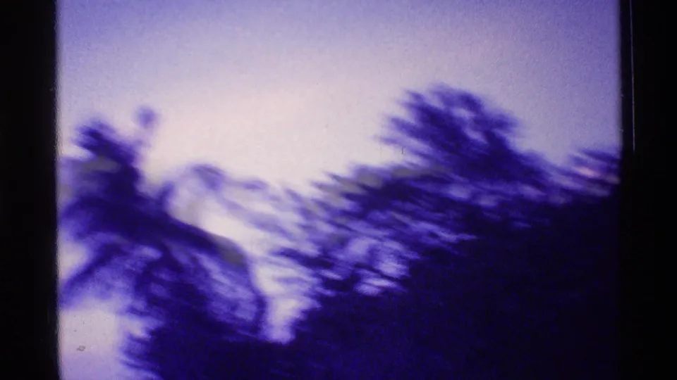 1973 Florida home-movie frame with a blurred palm and trees during handheld sunset panning.