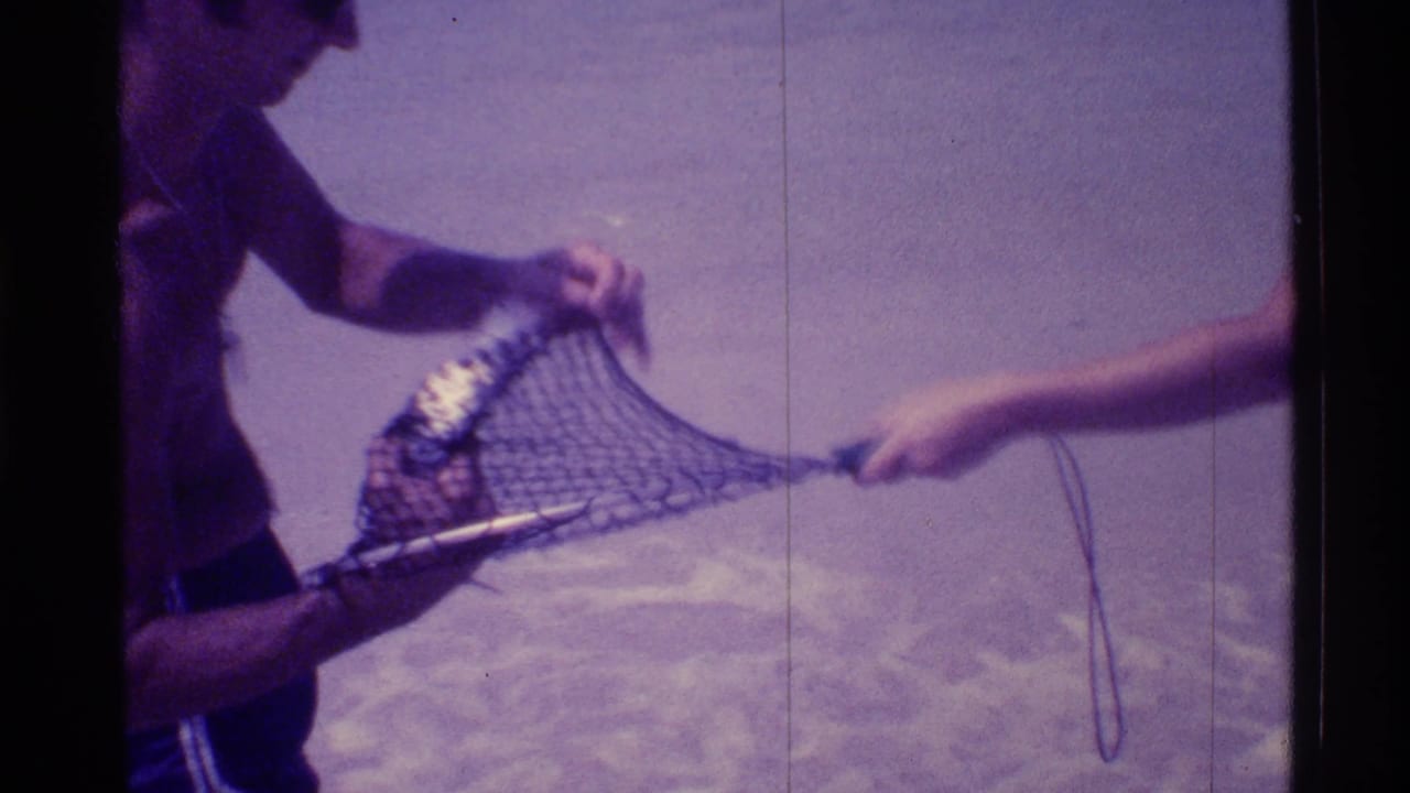 A person grips a net holding a fish while another hand pulls the mesh at the shoreline.