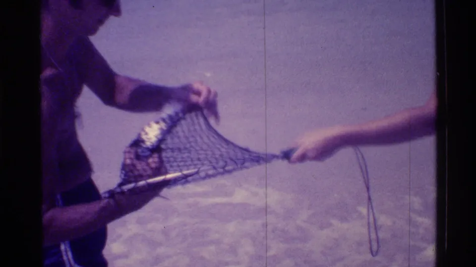 A partly visible person and another arm handle a fish caught in a net beside the Florida surf in supplied 1973 home-movie footage.