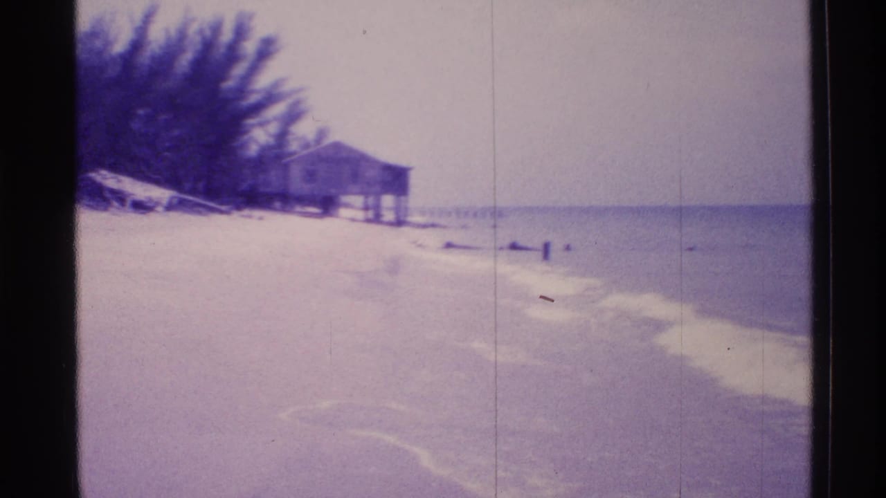 Stilt house near a sandy beach with ocean water along the shore.