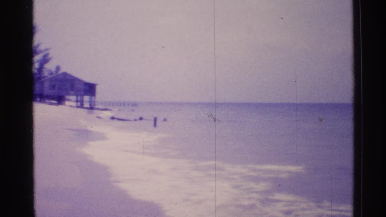 Beach house on stilts beside a curving shoreline and calm ocean.