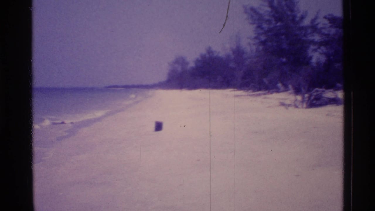 Empty sandy beach with calm water, trees, and a small dark object near the shoreline.