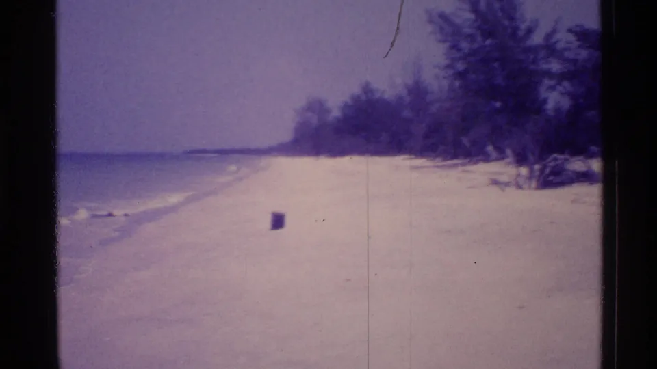 1973 Florida 8mm frame showing an empty beach, calm water, dense trees, and a small dark object on the sand.