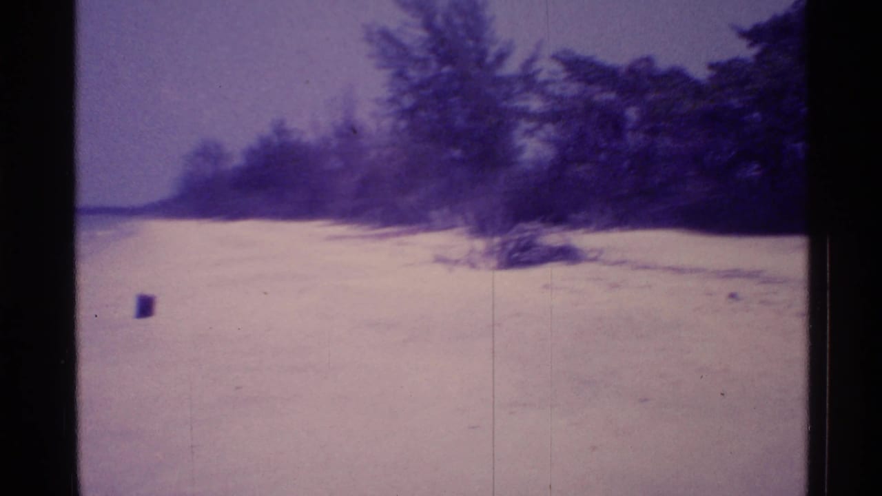 Wide empty beach bordered by trees, with water at left and a small dark object on the sand.