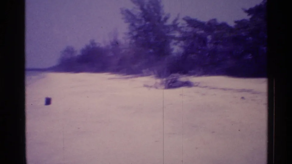 1973 Florida 8mm frame of a quiet beach with water at left, tree cover at right, and a small dark object near the shore.