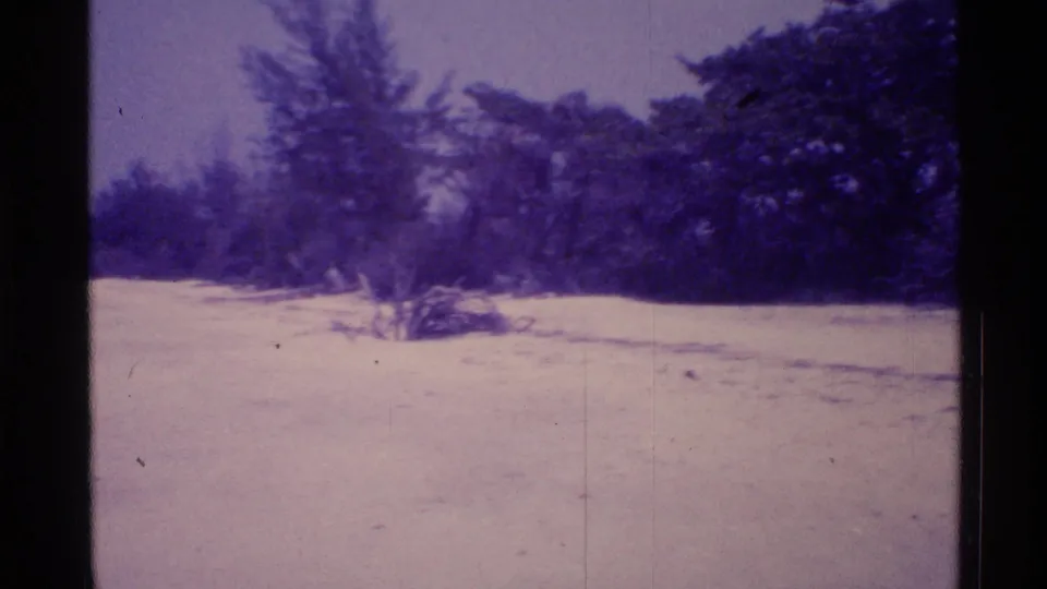 1973 Florida 8mm frame showing empty sand, scrub growth, and dense trees along a quiet beach edge.