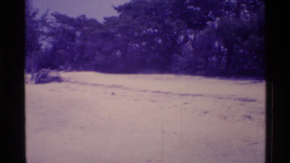 1973 Florida 8mm frame of an empty sandy beach facing dense coastal trees under a purple-tinted film cast.