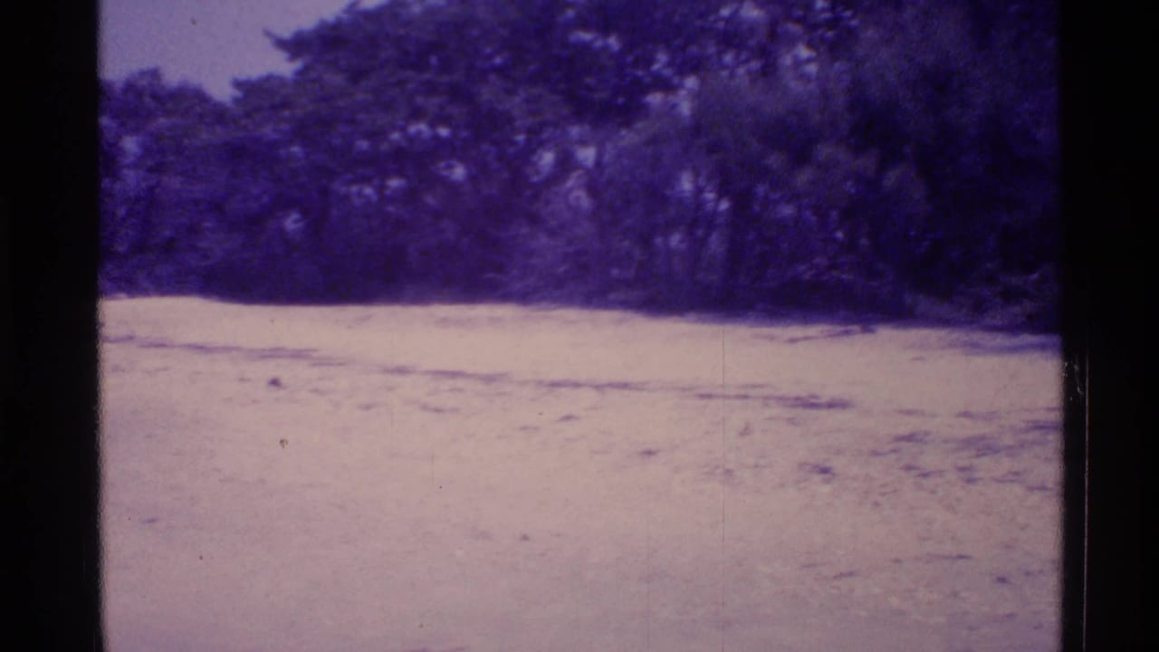 Pale sandy clearing bordered by dark trees in a faded 8mm frame.