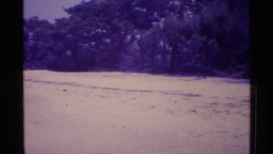 1973 Florida 8mm view of a pale sandy clearing with a dense tree line and strong purple color shift.