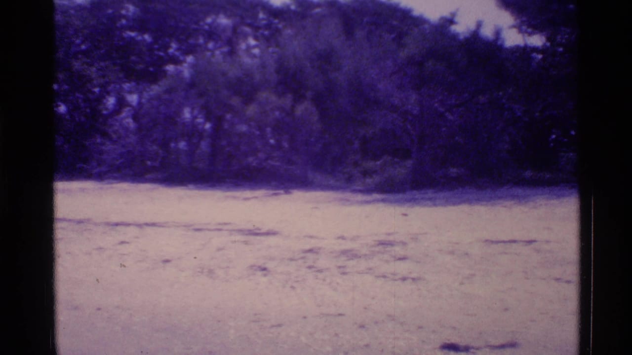 Wide sandy open area with trees across the background and film gate edges visible.