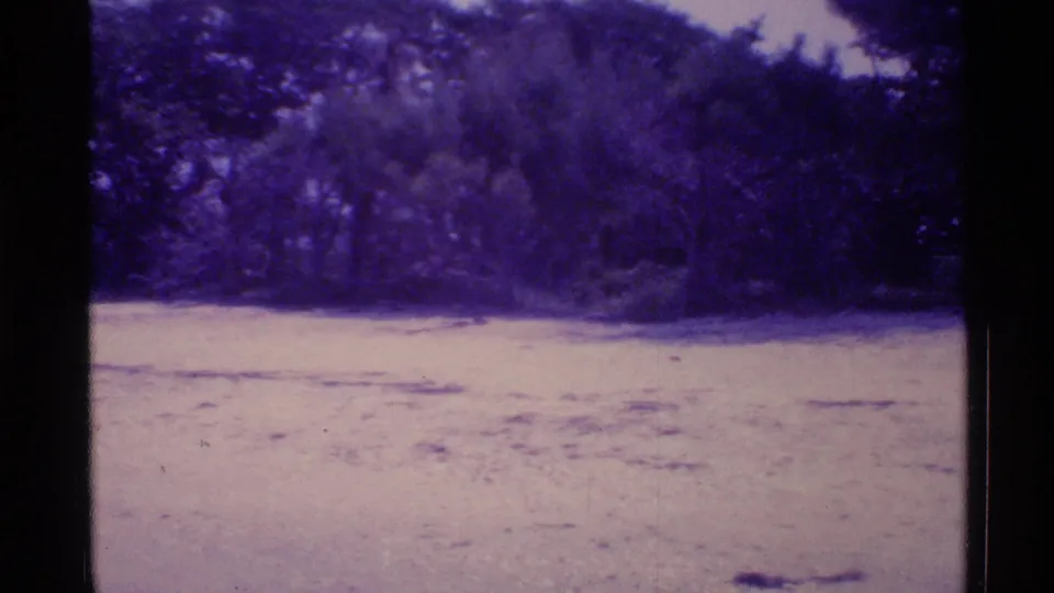 Static 1973 Florida home-movie frame showing an open sandy clearing below a dark wooded background.