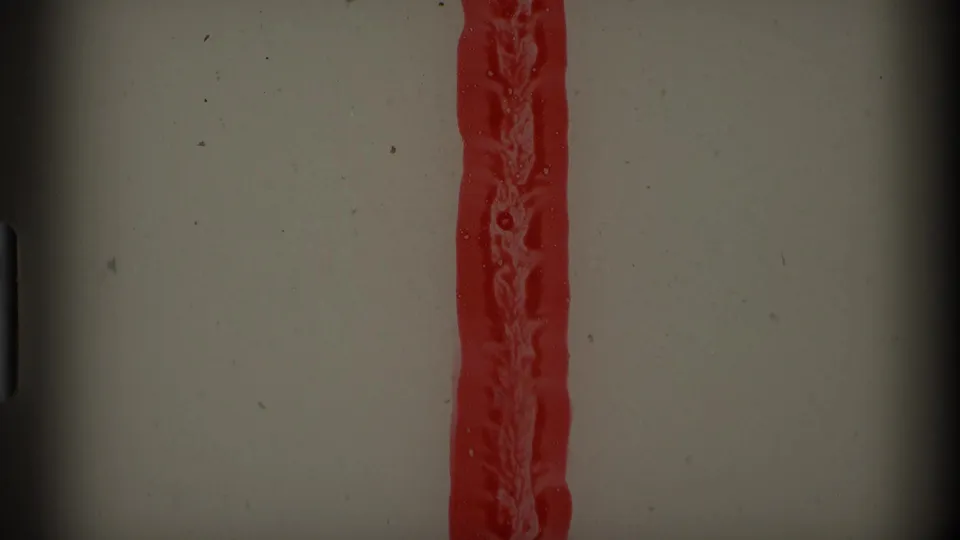 Damaged 8mm film frame showing a vertical red color bleed, dust, scratches, and dark gate-edge shadows.