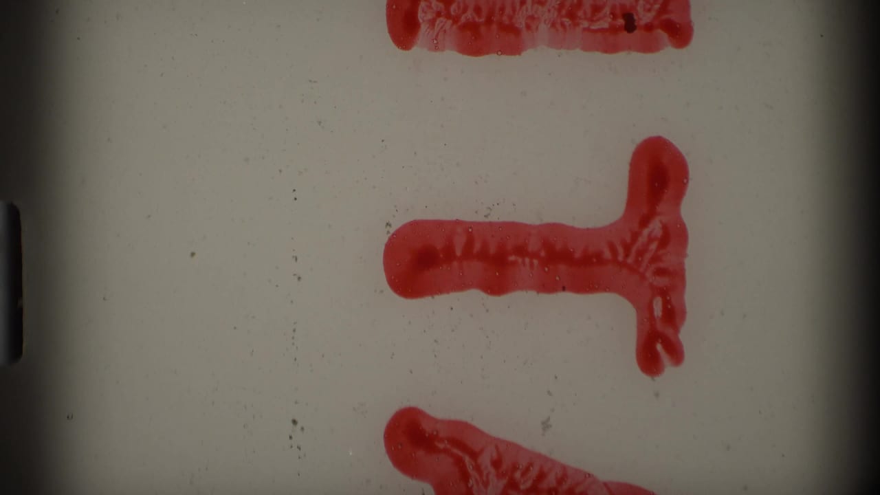 8mm damage frame with red emulsion streaks, dust, scratches, and dark frame-edge shadows after the boat footage.