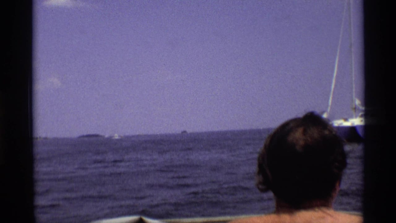 The camera looks past the back of an adult passenger toward open New York river water, a distant sailboat, and a low shoreline.