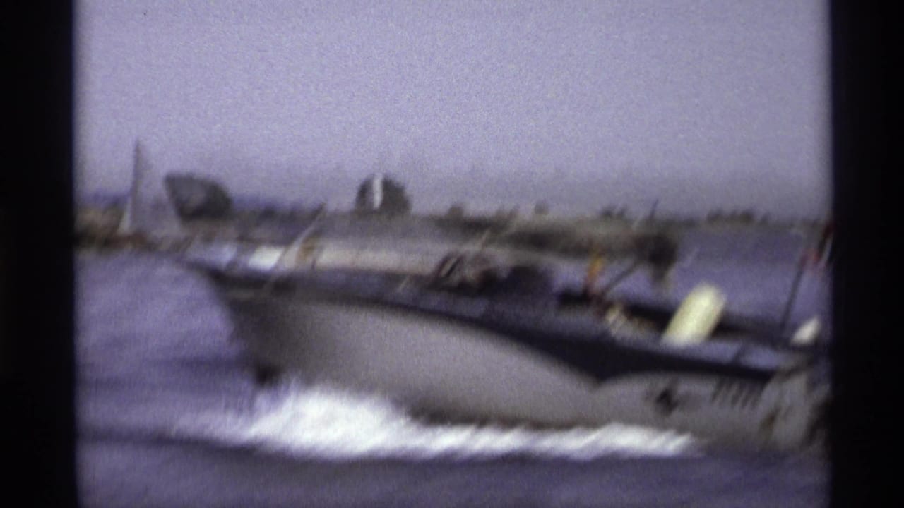 Blue-and-white speedboat crossing open water with shoreline in the background.