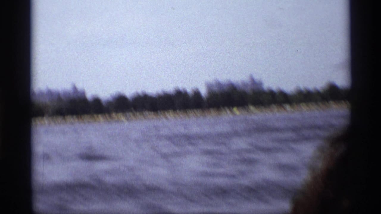 Blurred open water and distant shoreline seen from a moving boat.
