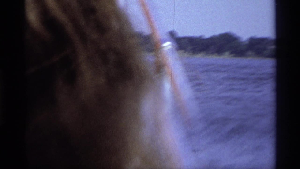 Close passenger hair in the foreground with water and shoreline beyond.