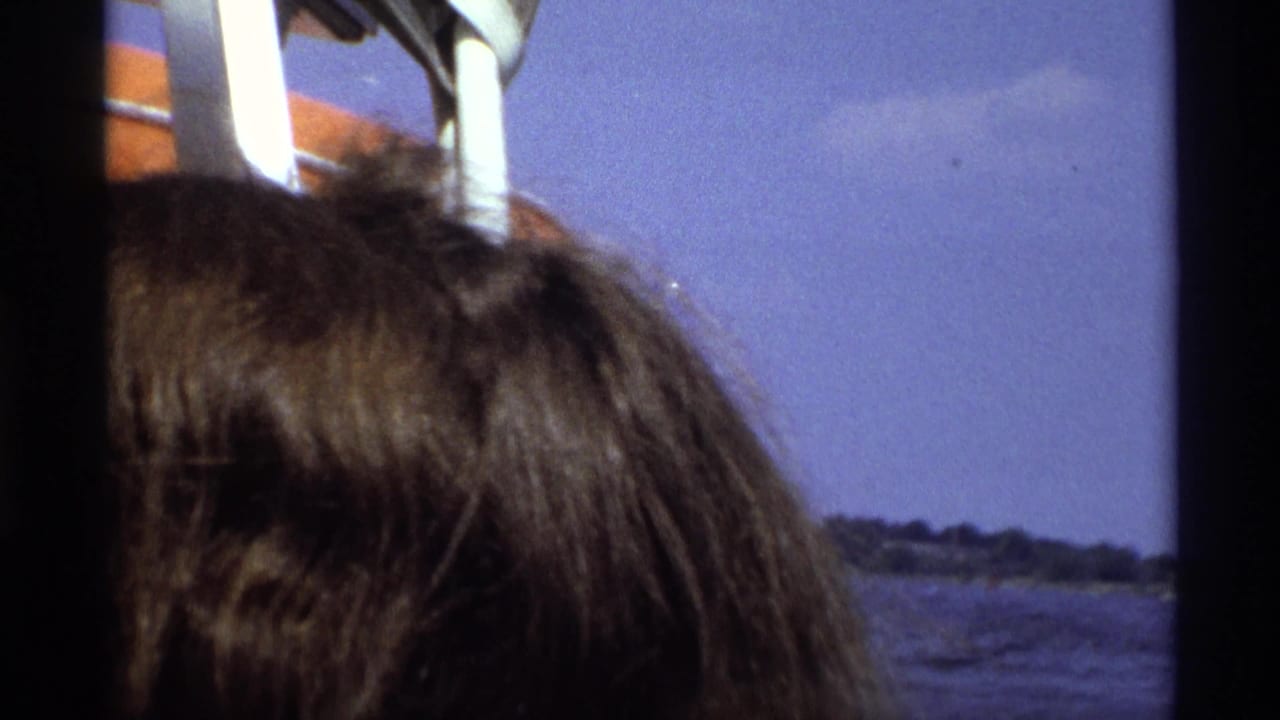 1973 New York 8mm frame showing the top of a passenger's head, white boat railings, water, and a distant tree-lined shore.
