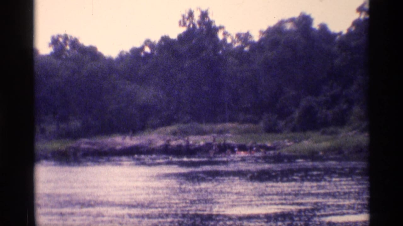 Soft 1973 New York 8mm view of a wooded lakeshore, grassy bank, and calm water with no close foreground subjects.