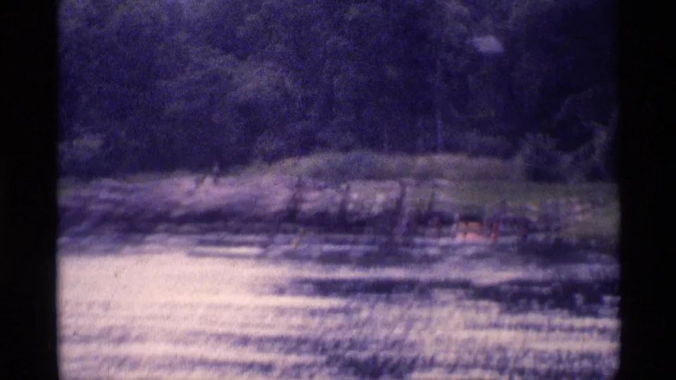 1973 New York 8mm view of distant young men near a wooded lake shoreline, with water in the foreground.