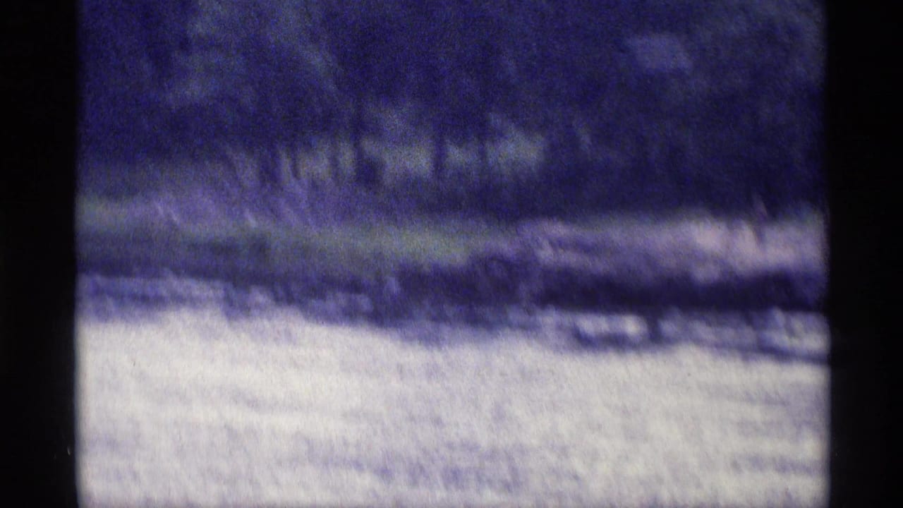 Soft 8mm frame of a New York lakeshore, with pale water in the foreground and a dark grassy, tree-lined bank beyond.