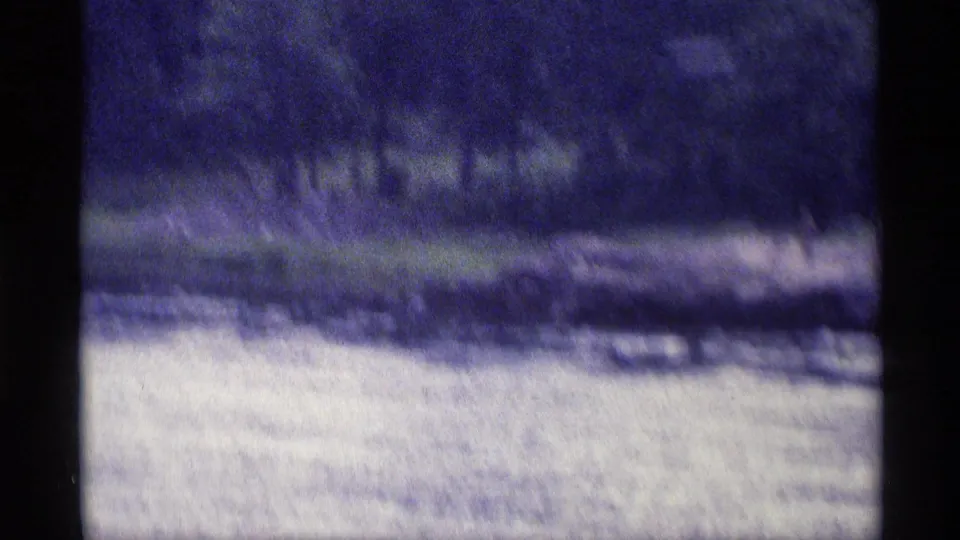 Soft 8mm frame of a New York lakeshore, with pale water in the foreground and a dark grassy, tree-lined bank beyond.