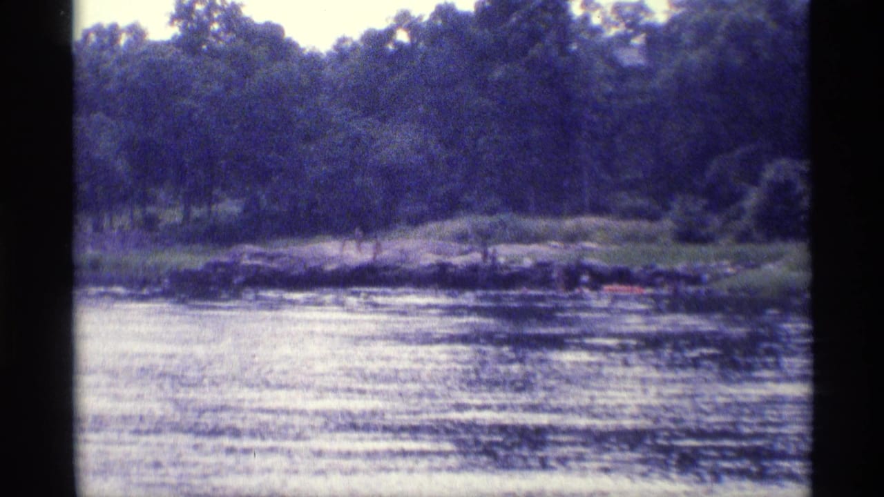 Rippling water with a wooded shoreline and dark film border.