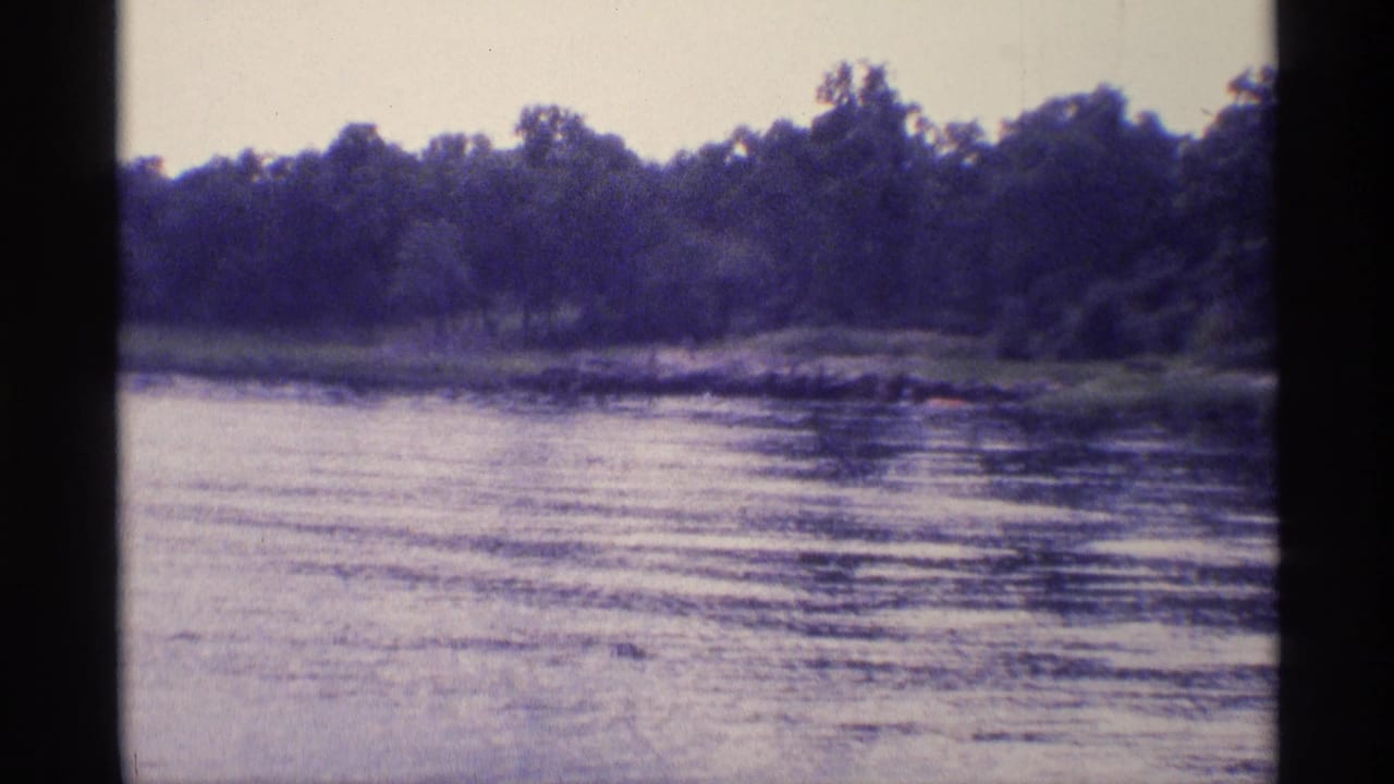 Rippling lake water with a tree-lined shore in the distance.