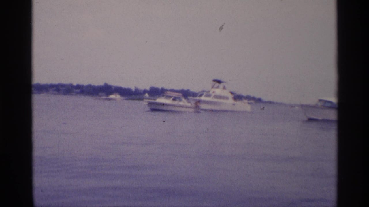 White motorboats float on calm water with a tree-lined shore in the distance.