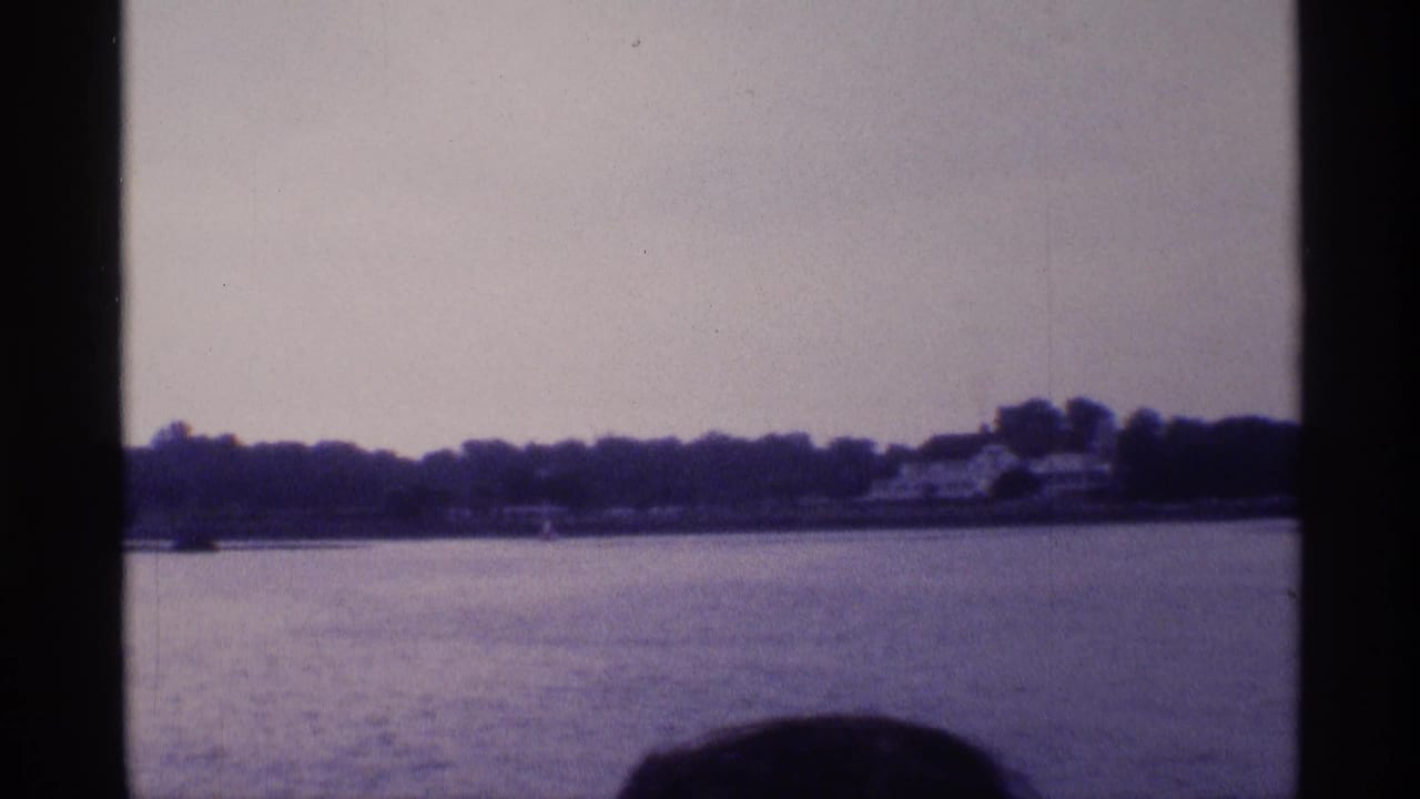 Calm water with a distant tree-lined shoreline and a dark partial head silhouette at the bottom.