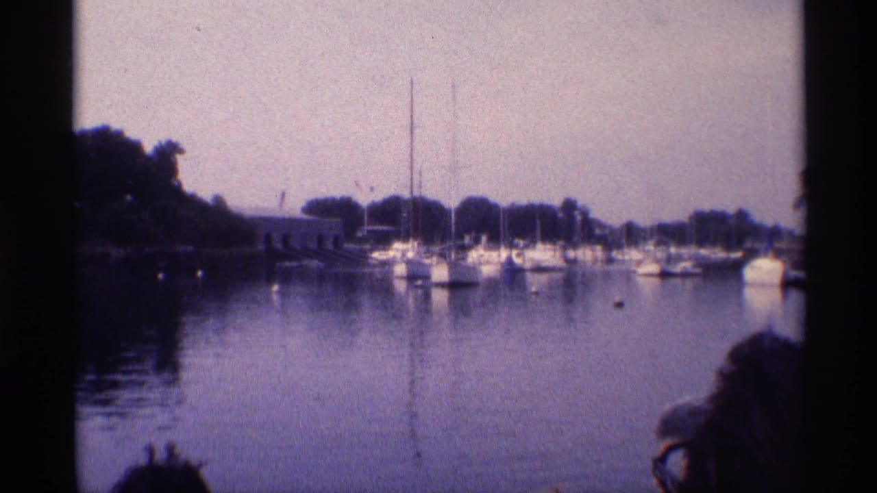 Moored sailboats in calm harbor water with dark shoreline trees and partial heads in the foreground.