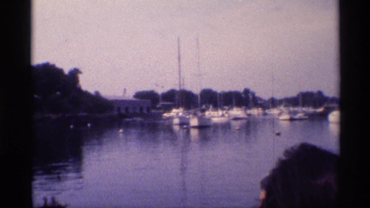 Soft 8mm harbor view in New York, 1973, with sailboats near a tree-lined shore and a cropped viewer's head in the foreground.