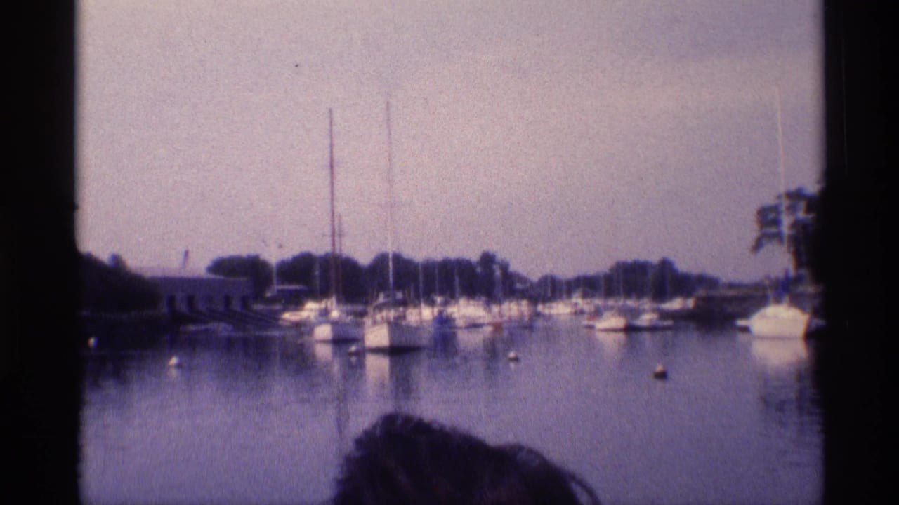 Sailboats moored in calm water with trees beyond and a partial head at the bottom edge.
