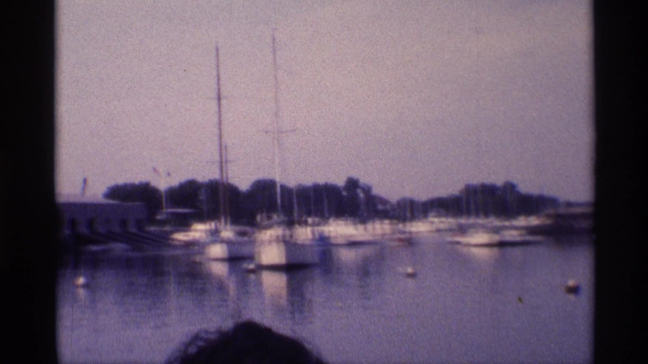 Wide marina view with sailboats, motorboats, calm water, trees, and a partial foreground head.