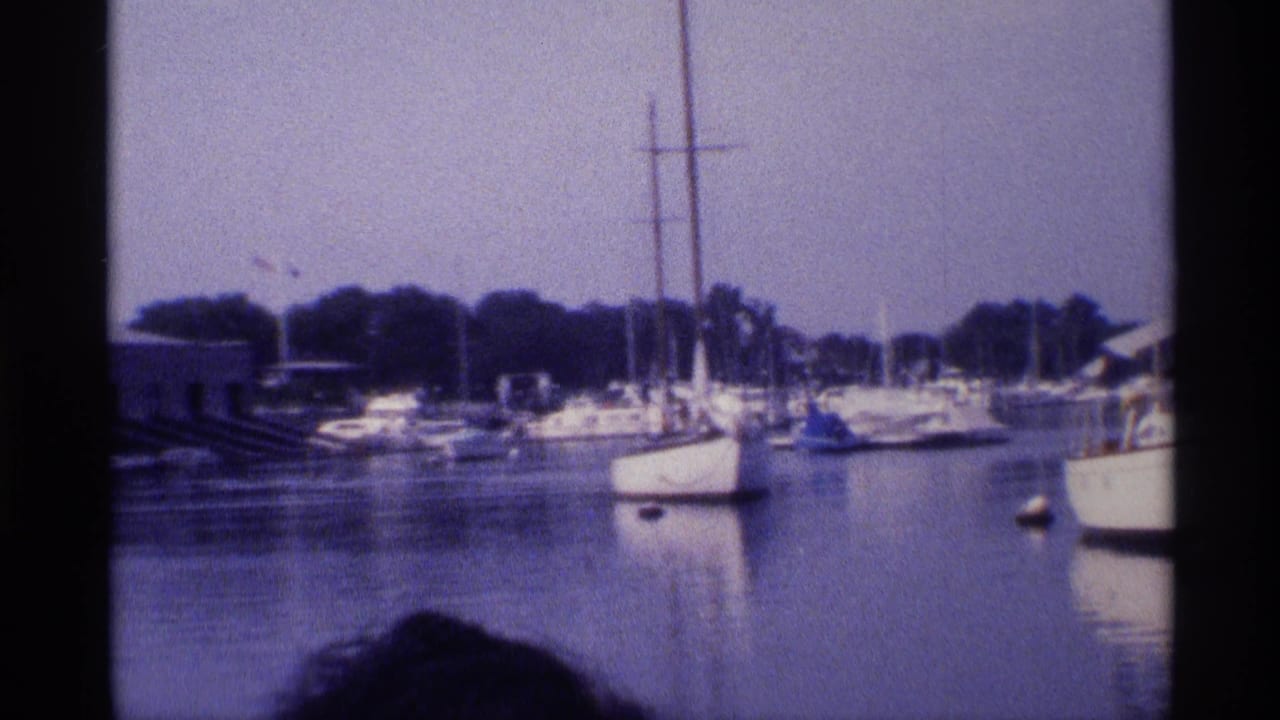 Wide 1973 New York marina view with sailboats spread across calm water, many masts, shoreline trees, and a dark foreground silhouette.