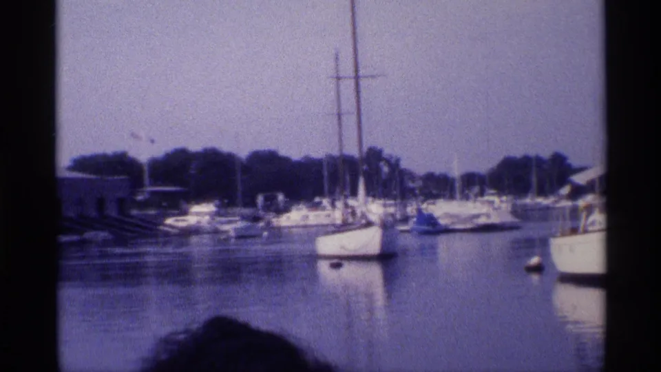 Wide 1973 New York marina view with sailboats spread across calm water, many masts, shoreline trees, and a dark foreground silhouette.