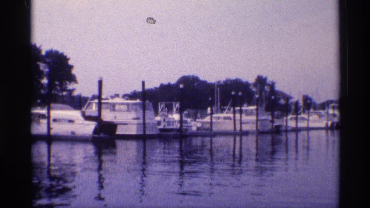 Moored white boats beside wooden pilings on calm water.