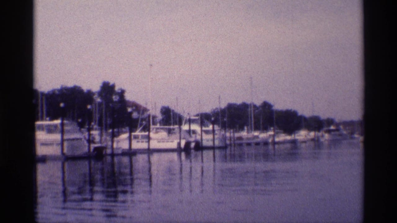 Small boats moored in calm harbor water with masts and trees beyond.