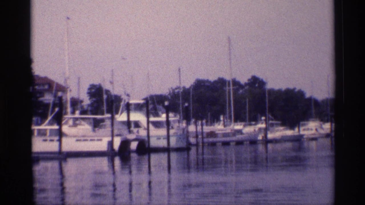 The zoom tightens on a New York harbor marina scene, showing cabin boats, sailboat masts, pilings, trees, and reflected hulls.