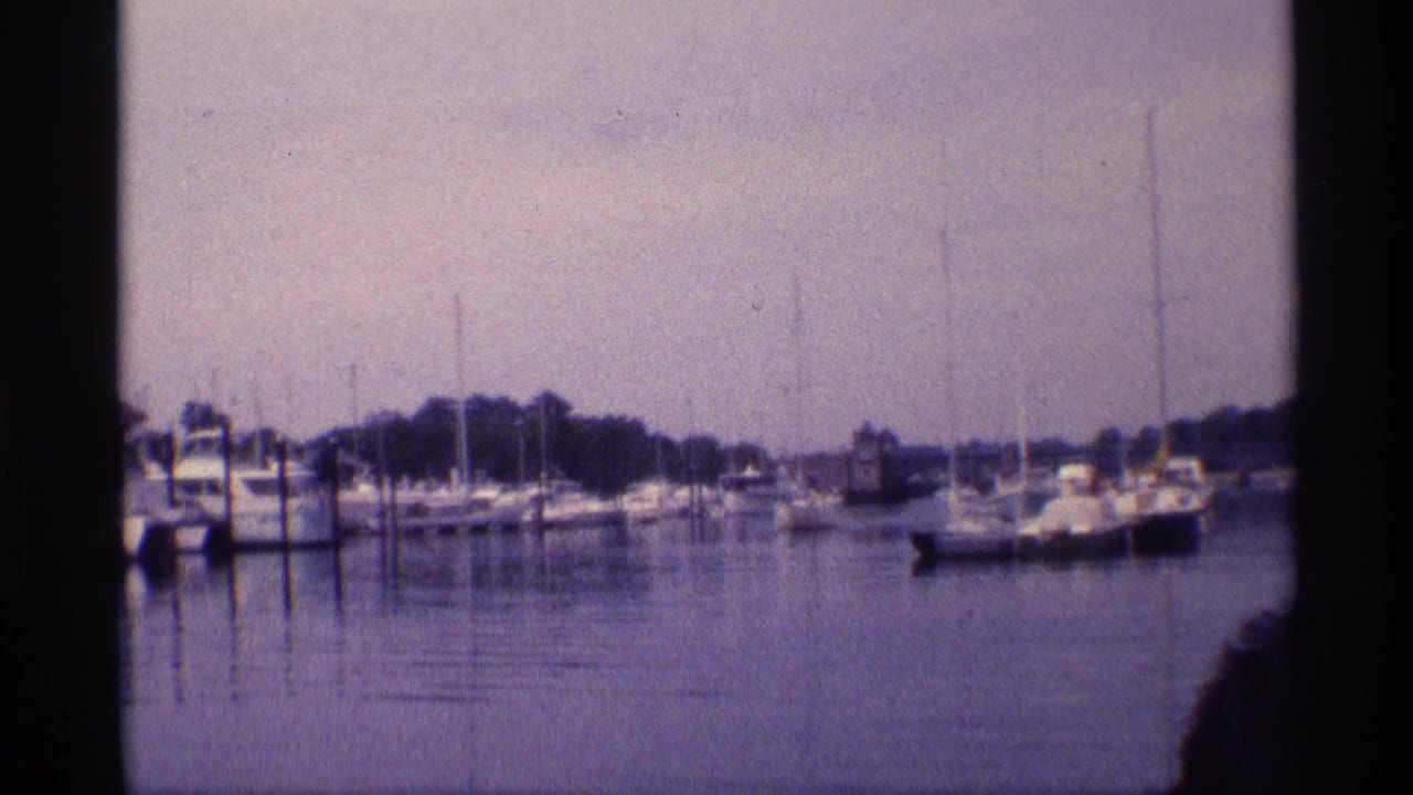 Marina with moored sailboats and motorboats across calm water.