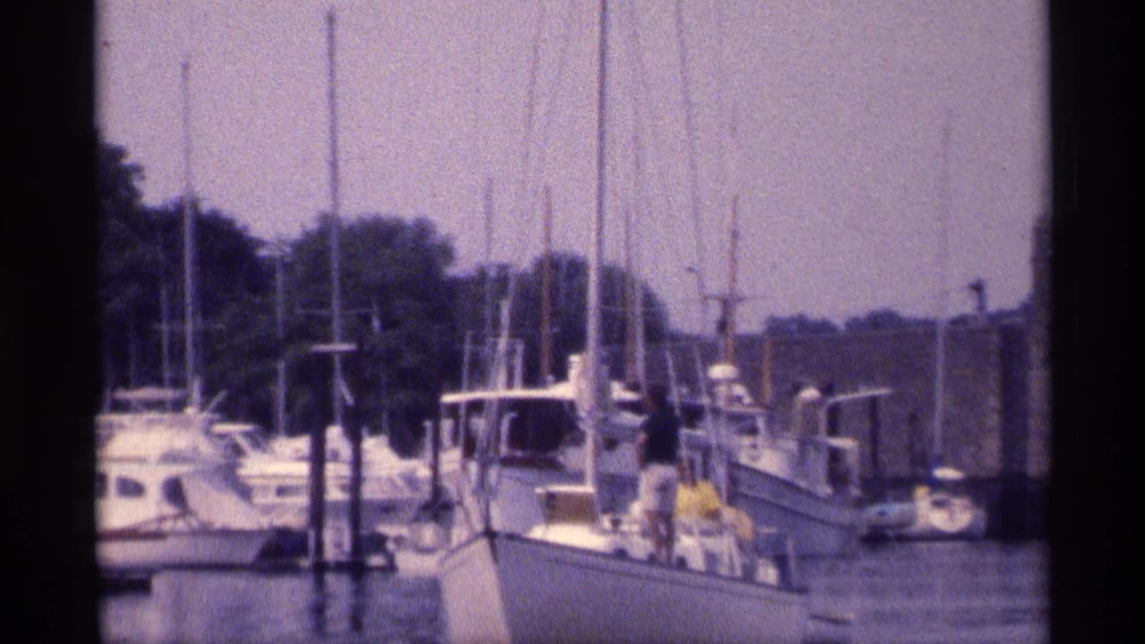 Docked sailboats and motor yachts at a marina with people on a white boat.