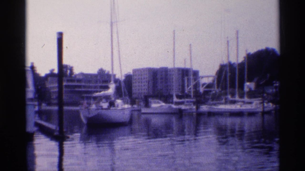 Sailboats moored at a marina with apartment buildings and trees in the background.
