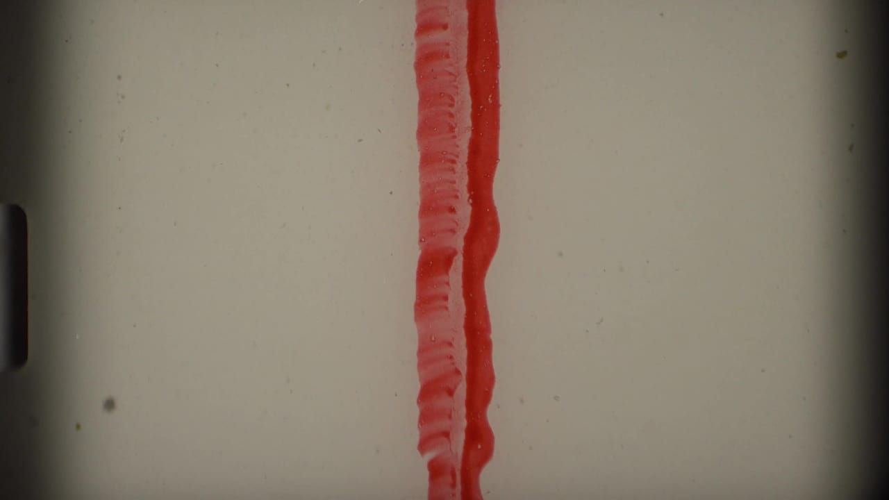 Close 8mm frame showing a red textured strip or material edge against a pale background, likely from the filmed scene or leader area.