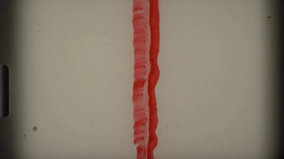 Close 8mm frame showing a red textured strip or material edge against a pale background, likely from the filmed scene or leader area.