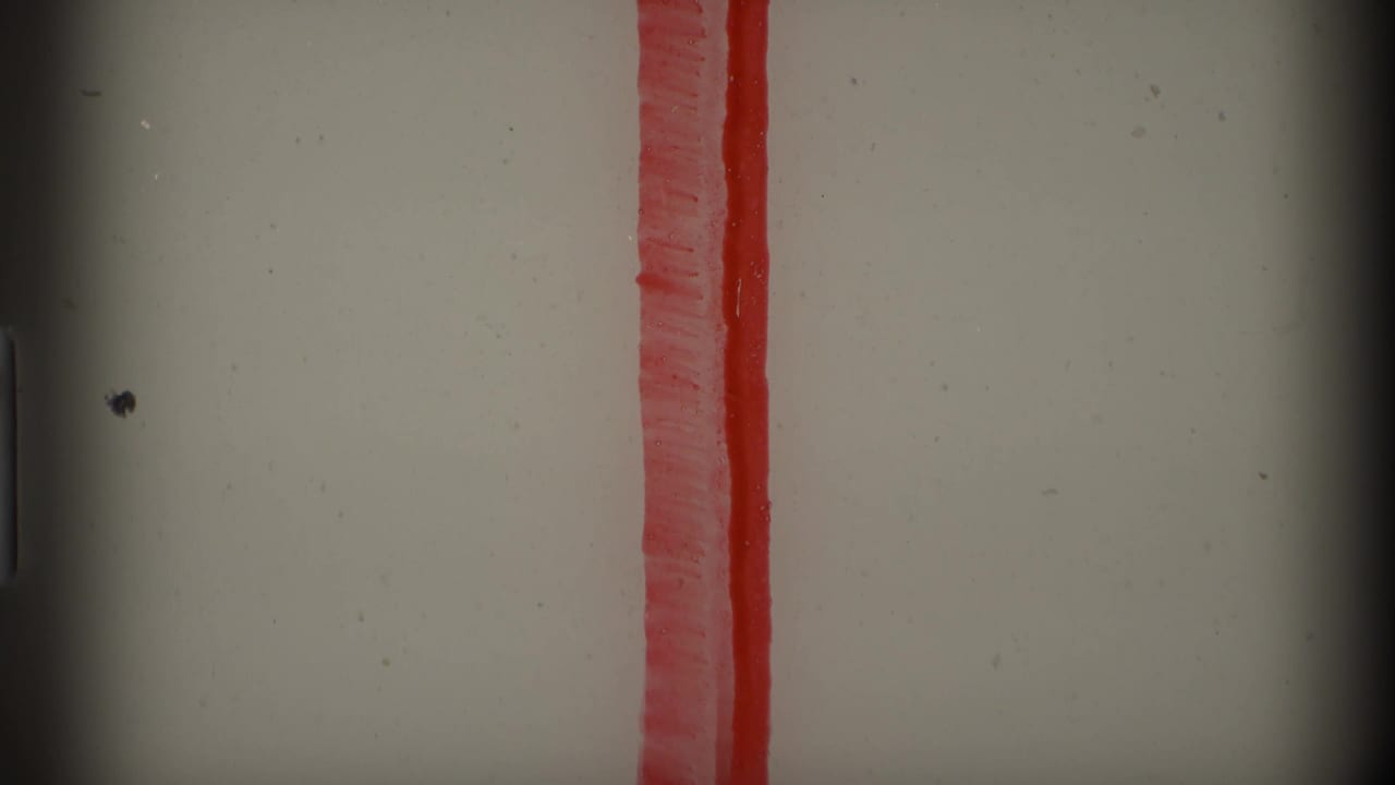 Final 8mm frame with a red vertical strip or narrow textured object against a pale field and visible film edges.