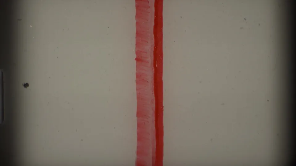 Final 8mm frame with a red vertical strip or narrow textured object against a pale field and visible film edges.