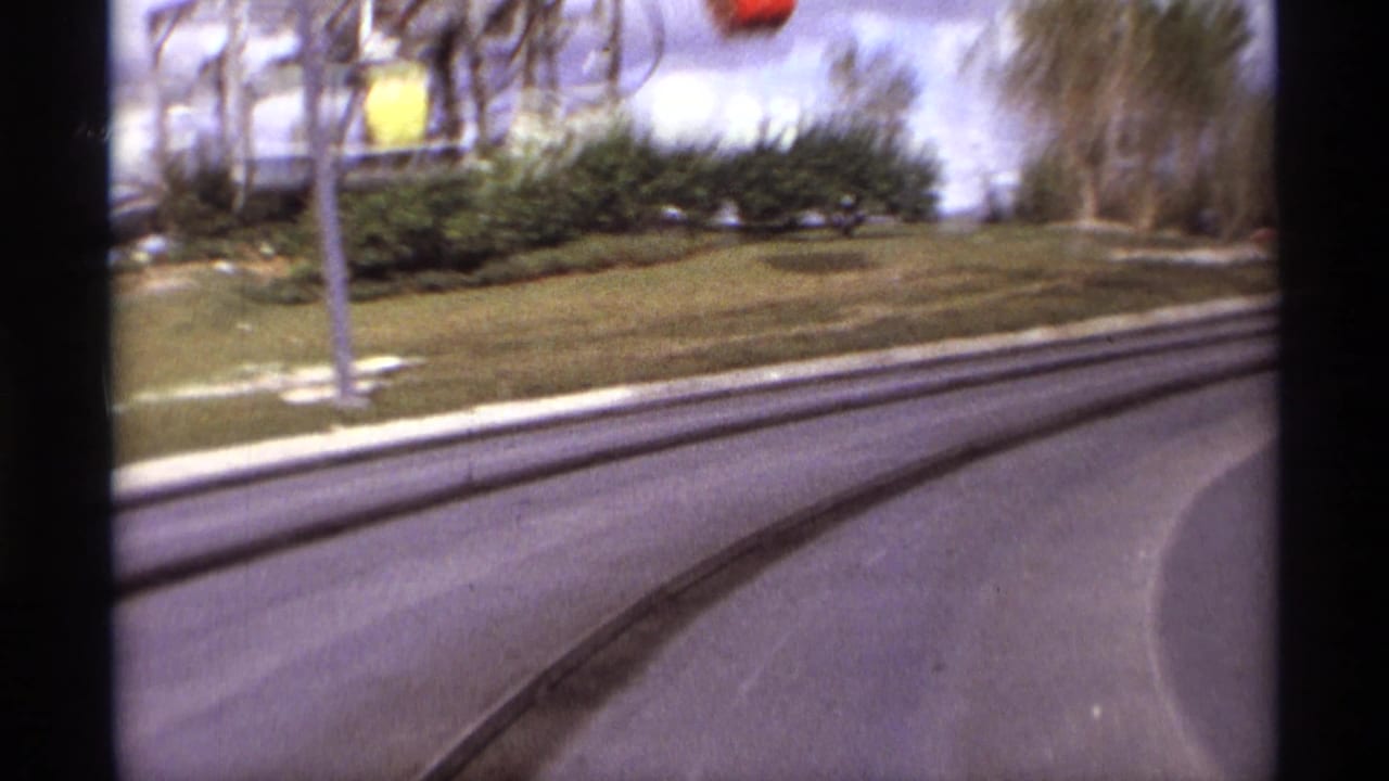 Curving amusement-park go-kart track with grass, trees, and blurred karts near the frame edge.
