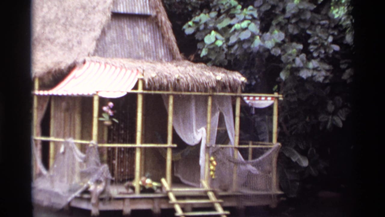 1974 Orlando home-movie frame showing a bamboo-style thatched structure, striped awning, netting, flowers, and dense foliage near water.